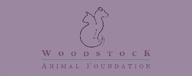 Woodstock Animal Foundation
