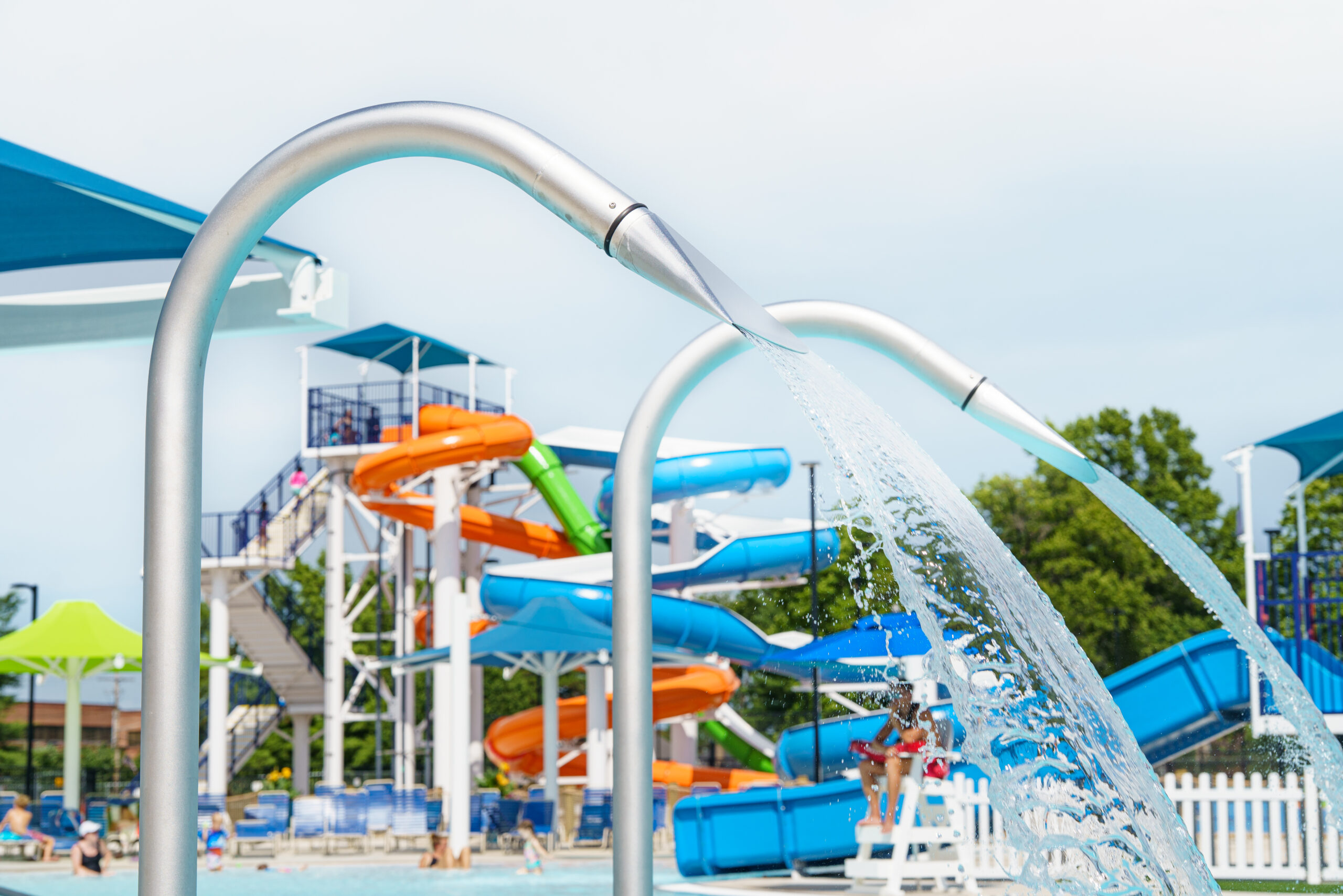 Blue Ash - DSC01327