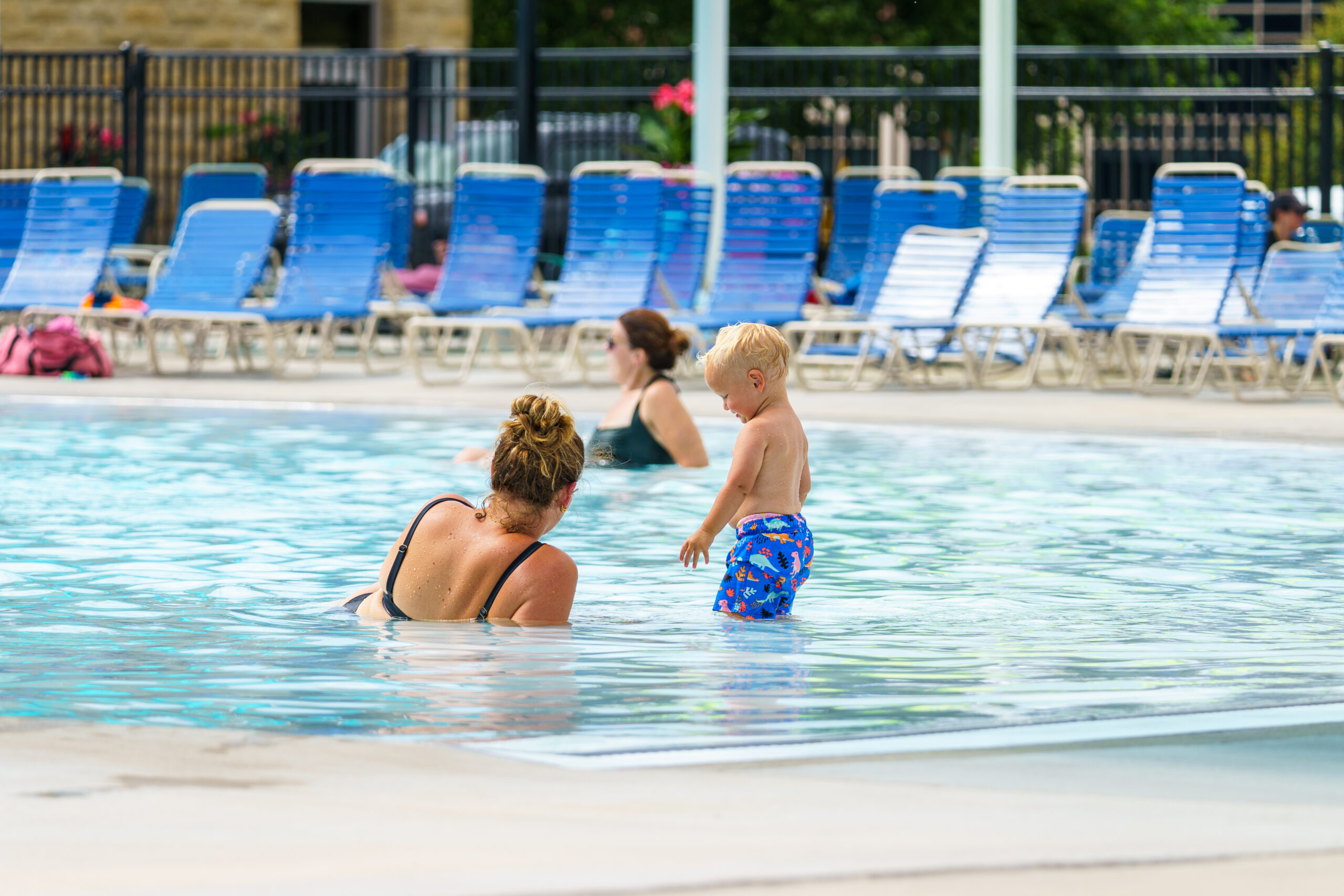 Blue Ash - DSC01450